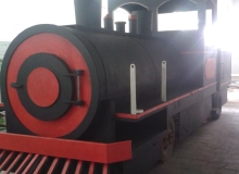 Trem_Credito Patricia Hellmann.jpeg