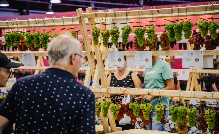 Ministério do Turismo fortalece a 35ª Festa Nacional da Uva e impulsiona o turismo em Caxias do Sul