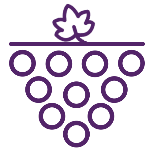 Degustação de Uva